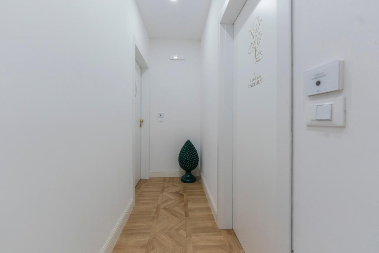 Aldrovandi Luxury Suites And Apartment Bolonia Exterior foto